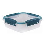 Контейнер герметичный Butterfly bright 0,8л (хвоя)