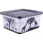 Коробка Africa 1,9л