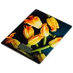 Весы кухонные электронные HomeStar HS-3015В, 7 кг