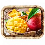 Поднос жестяной Тропические фрукты П332*258-01800