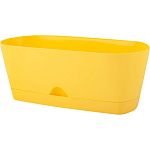 Горшок овальный InGreen Amsterdam для суккулентов, 25 см Спелая груша (упаковка 6 шт.)