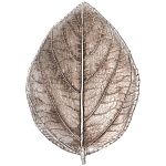 Блюдо декоративное leaf 16,*11,6*2,8см