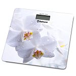 Весы напольн SA-5065WF ultraslim 180кг элек орхидеи