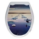 Сиденье для унитаза с рисунком (10) Кувшинки (упаковка 10 шт.)